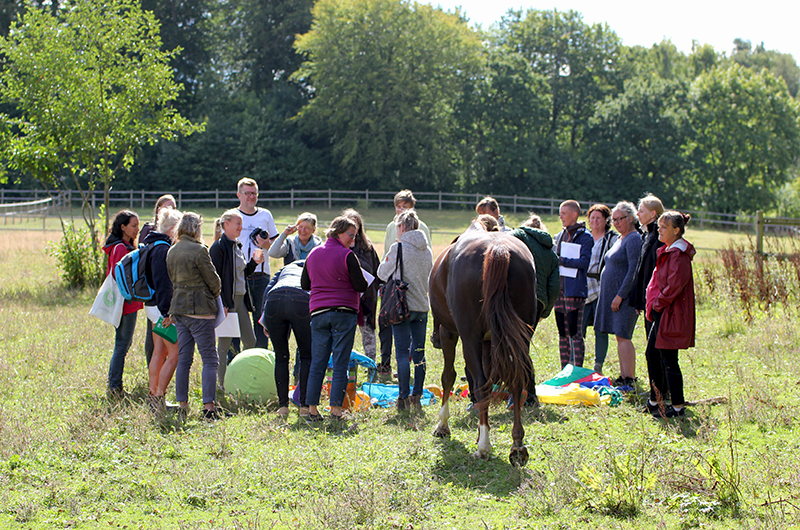 Training EiTL Level 2 - Sweden through the HorseHub Project
