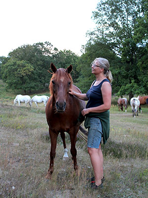 horse and human interaction