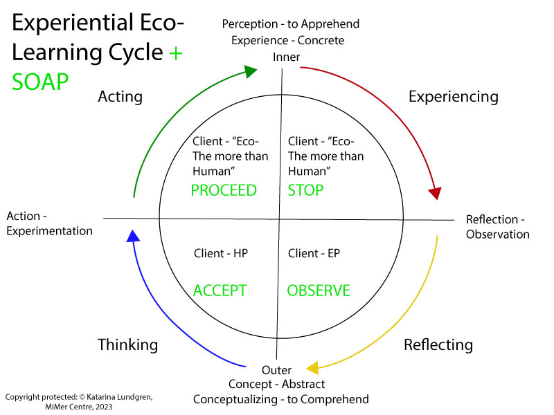 Learning Cycle ECO Mindfulness